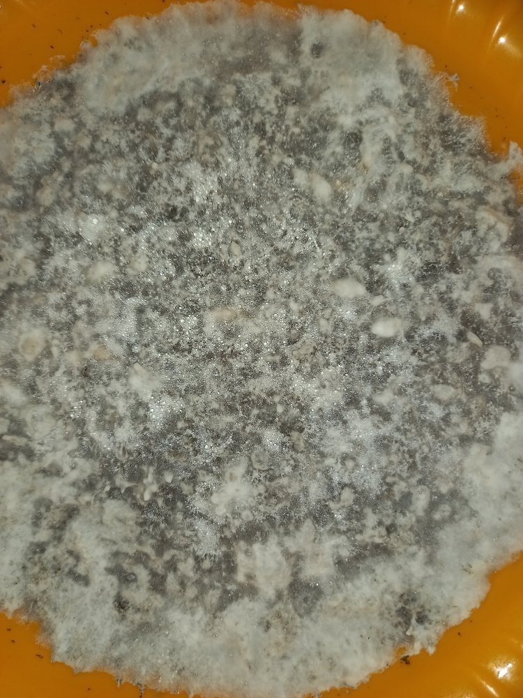 20220728_115537.jpg