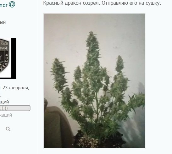 232955453_64.jpg.07fe6451ec9a003c1bda10a0e7ed0a7e.jpg