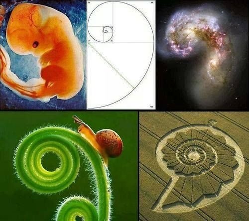 7c3d0a8e6fd9c9ef4cde316d09ce518d.jpg.265cf2940934e8fcbcfc2dd2e3a987a5.jpg