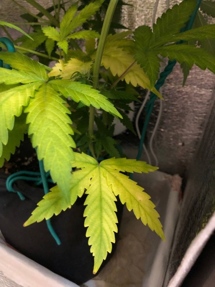 photo_2022-07-23_01-24-40 (2).jpg