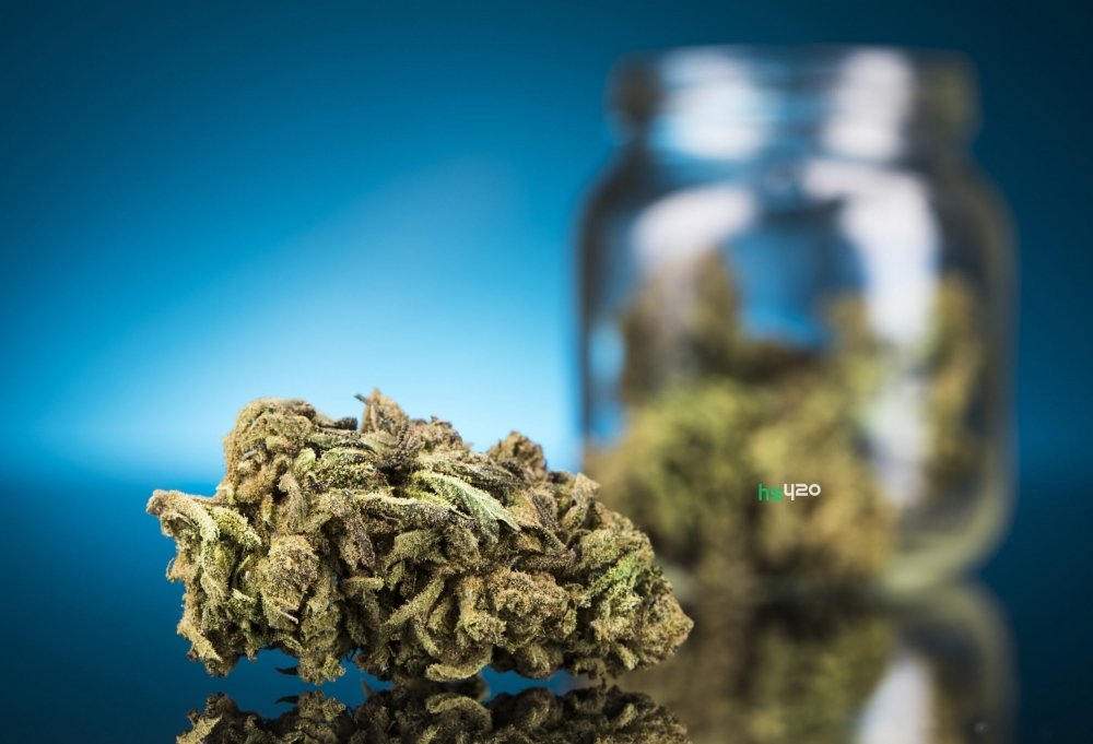 cannabis-medical-2.jpeg