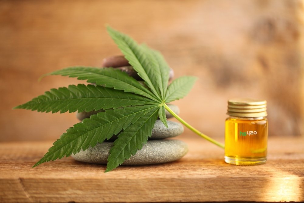 cbd-oil-2.jpeg
