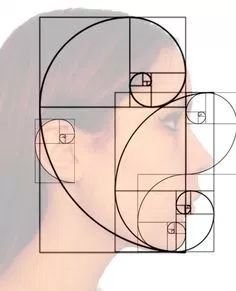 f6c47239fe81881d2074597295322c12.jpg.9d2c9996ec6feadf1bc00344edd94c03.jpg