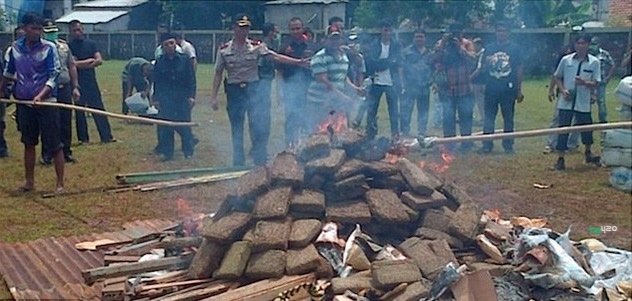 indonesian-cannabis-burn-2.jpg