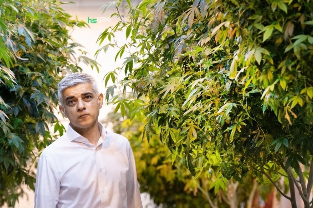 sadiq-khan-cannabis-2.jpg