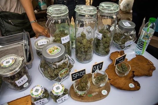 thai-cannabis-shop-2.jpg