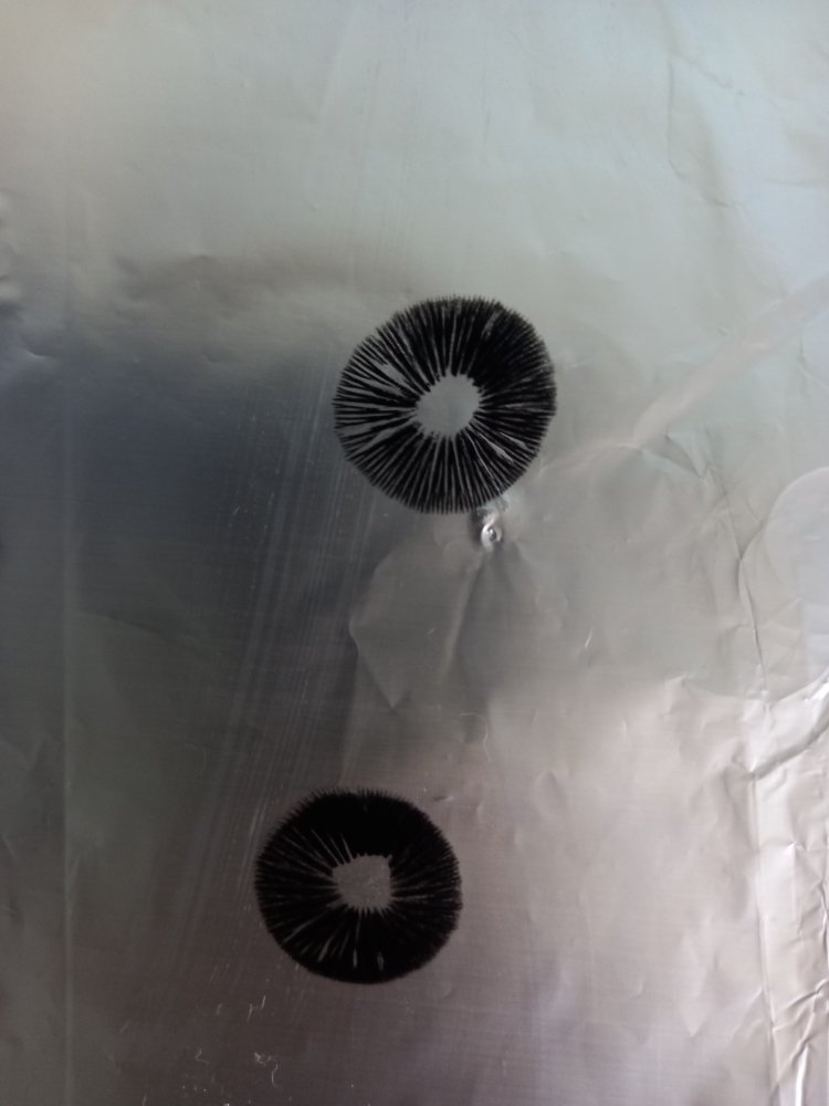 20220822_065639.jpg