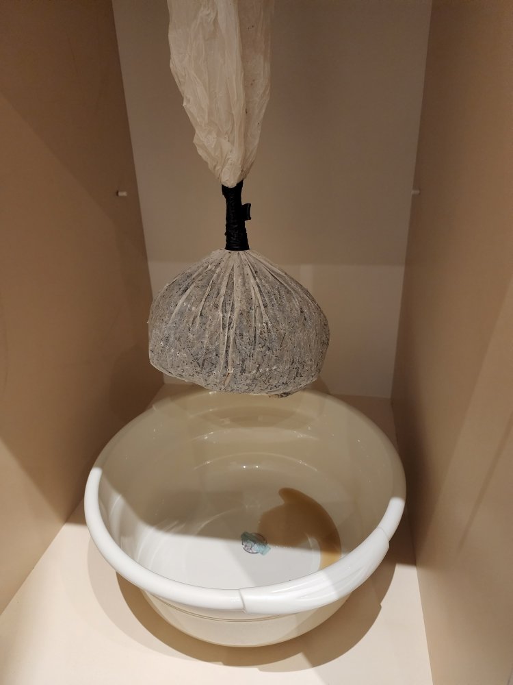 20220828_214014.thumb.jpg.7dae947e030cf71b325d29c78c23c62b.jpg
