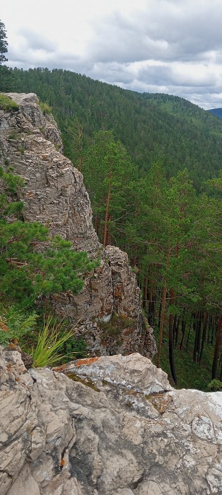 IMG20220806121239_01.jpg