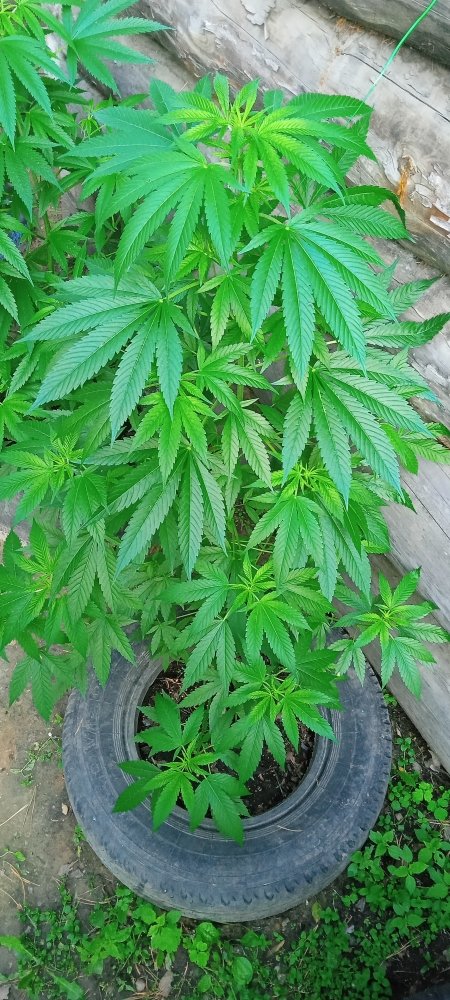 IMG20220807194830_01.jpg