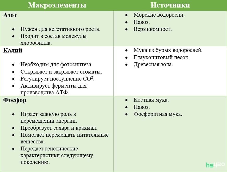 03.jpg