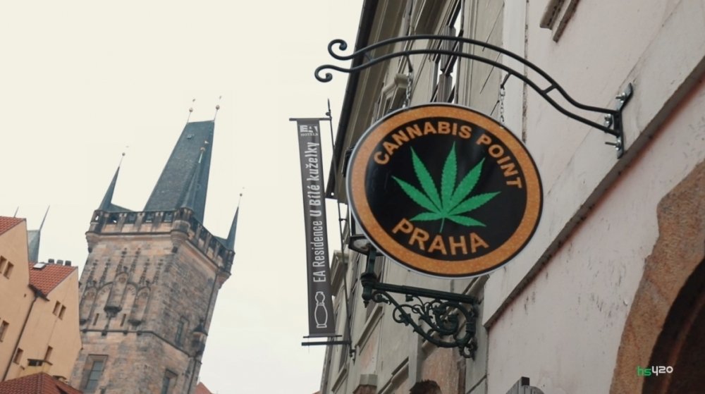 czech-cannabis (1).jpg