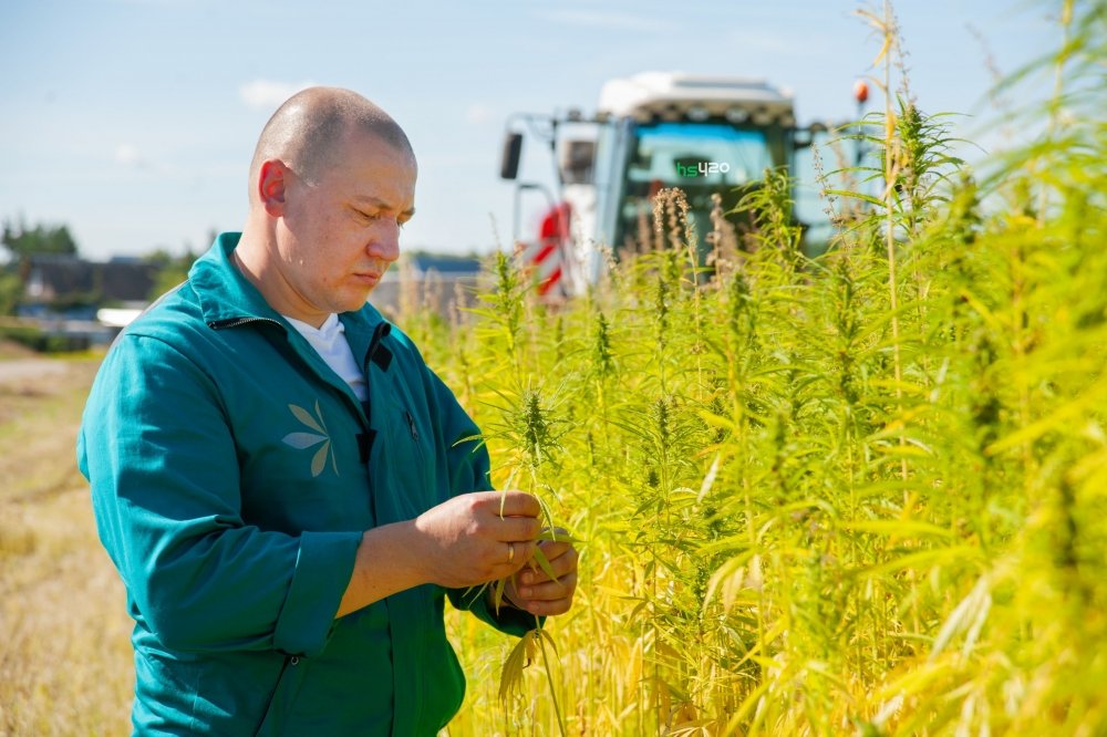 hemp-farmer (1).jpg
