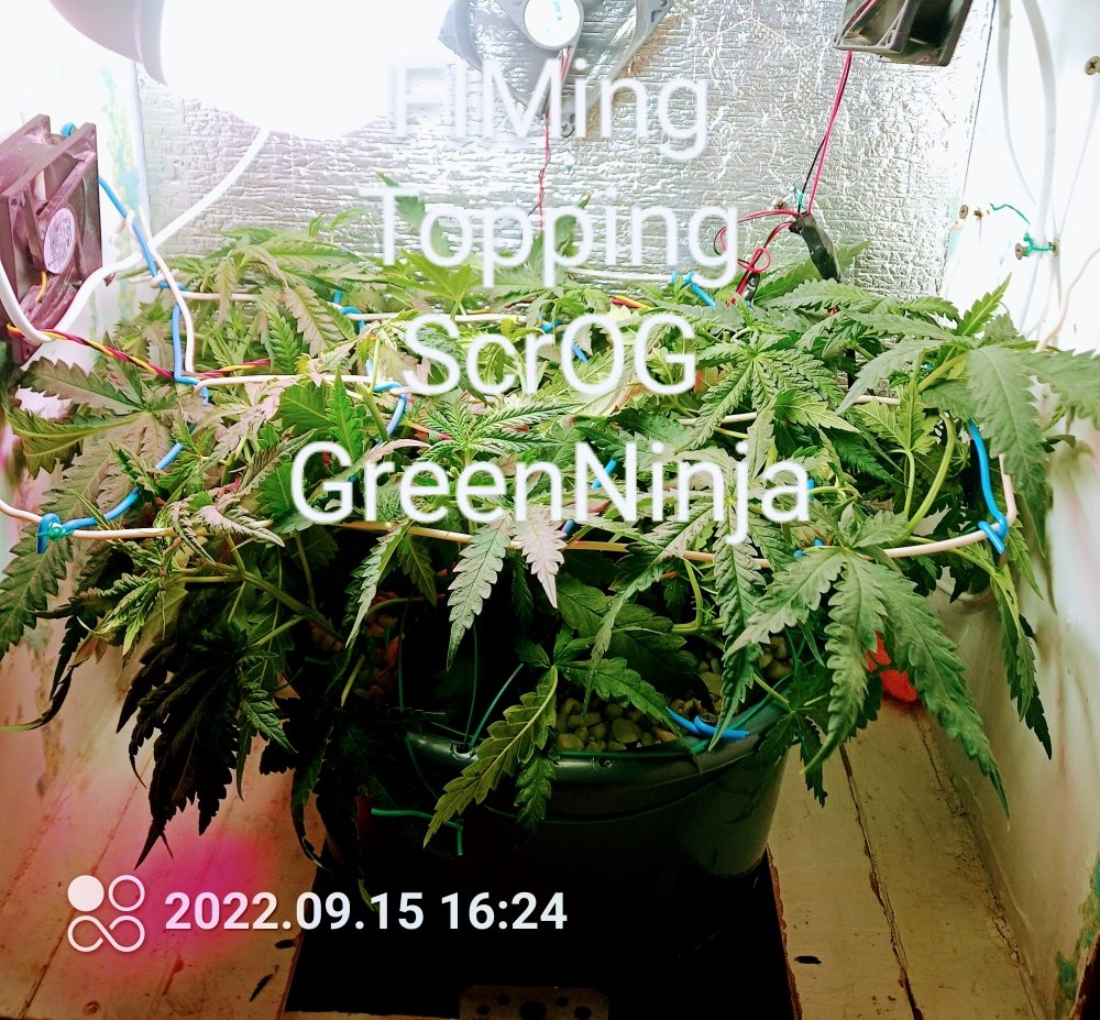 IMG_20220915_162405_584~4.jpg