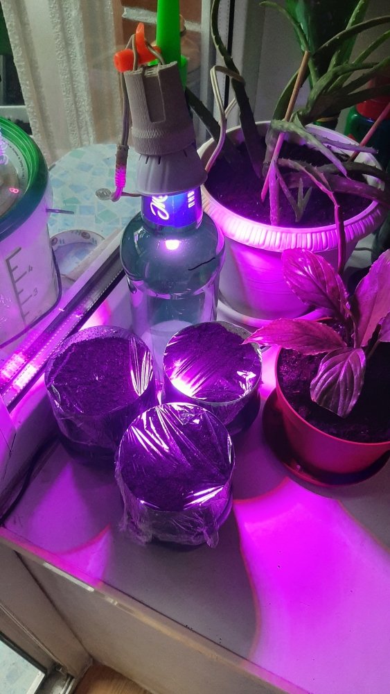 20220831_075439.jpg