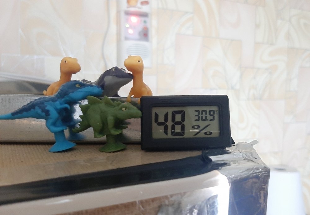 20220930_182000.jpg