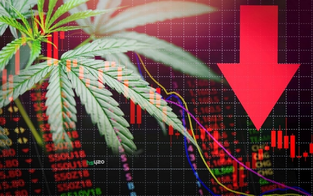 cannabis-legal-stocks-drop (1).jpg