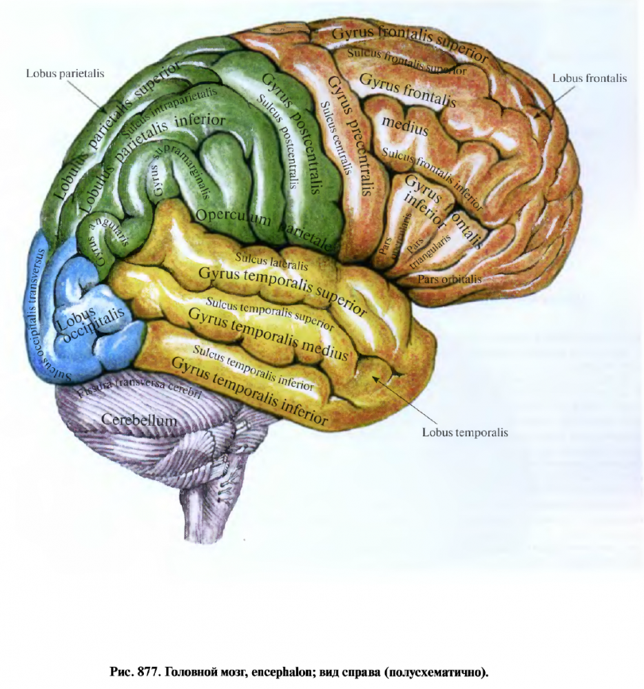 863624842_20-09-202214_22_01.thumb.png.068c7221424915e9a3c86a00bdf9cbcf.png