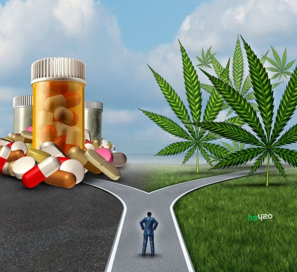 cannabis-against-pharma (1).jpg
