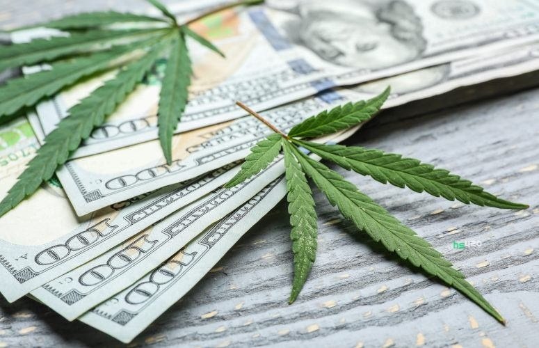cannabis-money (1).jpeg