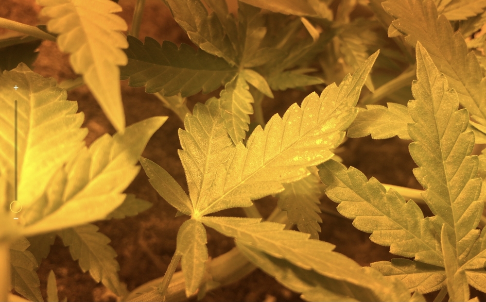 2022-10-20 11.10.04.PNG