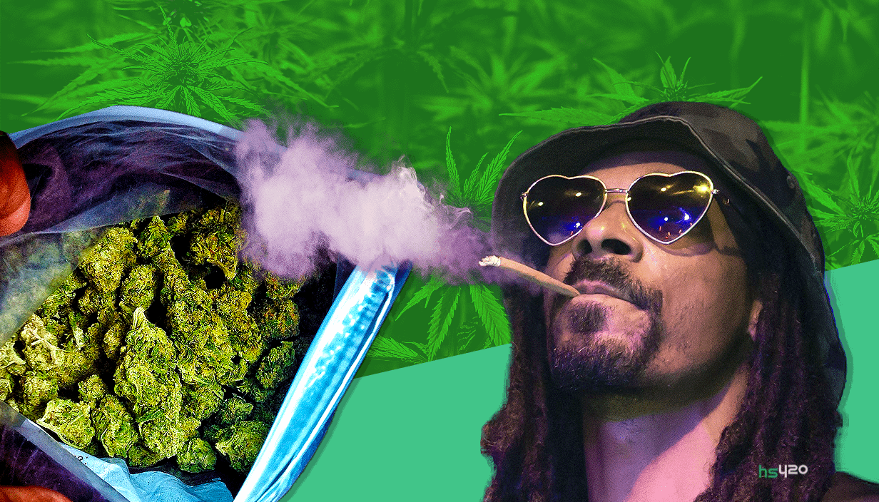 Snoop dogg курит марихуану марихуана от запоя