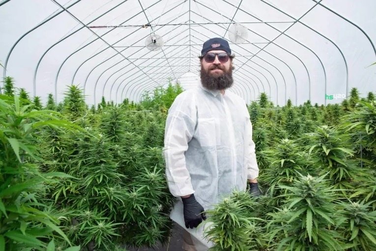 cannabis-grower (1).jpg