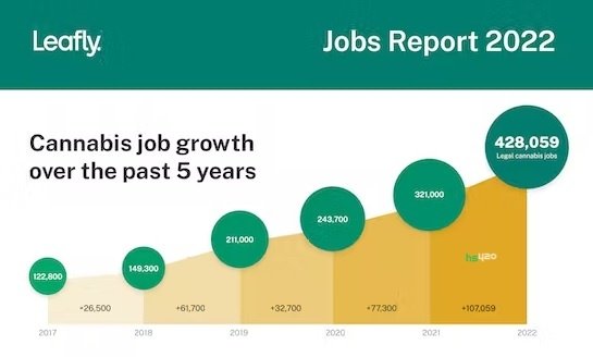 us-cannabis-jobs-growth (1).jpg