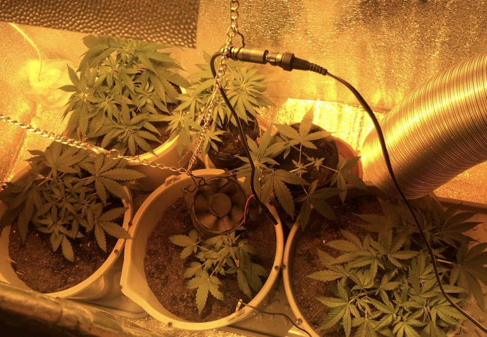 2022-10-20 11.10.25.PNG