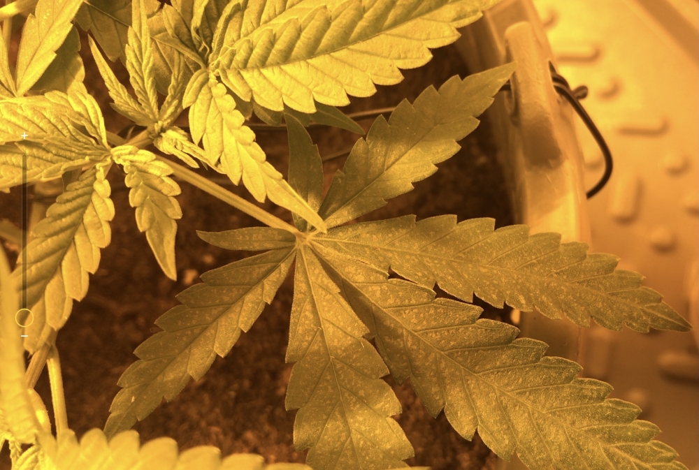 2022-10-20 11.09.50.PNG