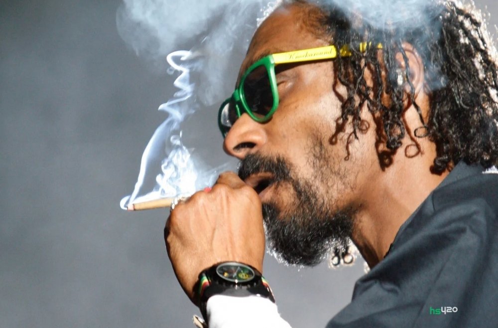 snoop-dogg-smoke-weed (1).jpg