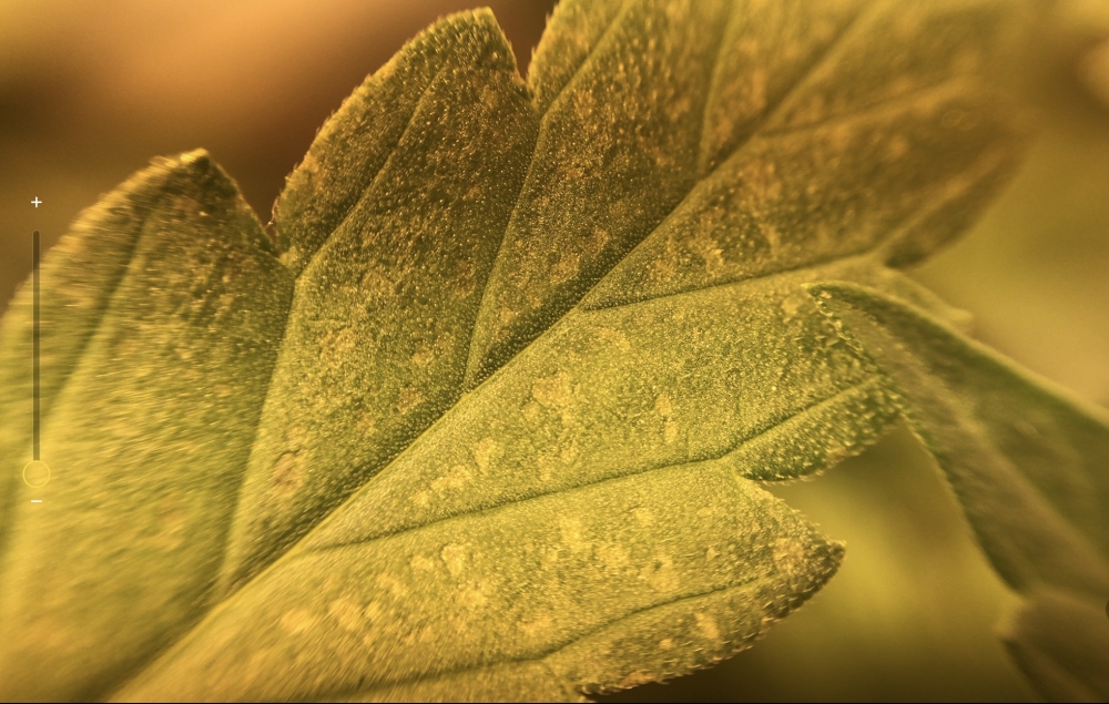 2022-10-20 11.08.56.PNG