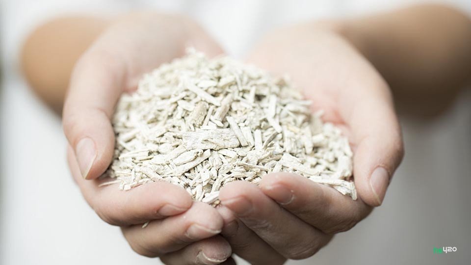 hempcrete(1).jpg