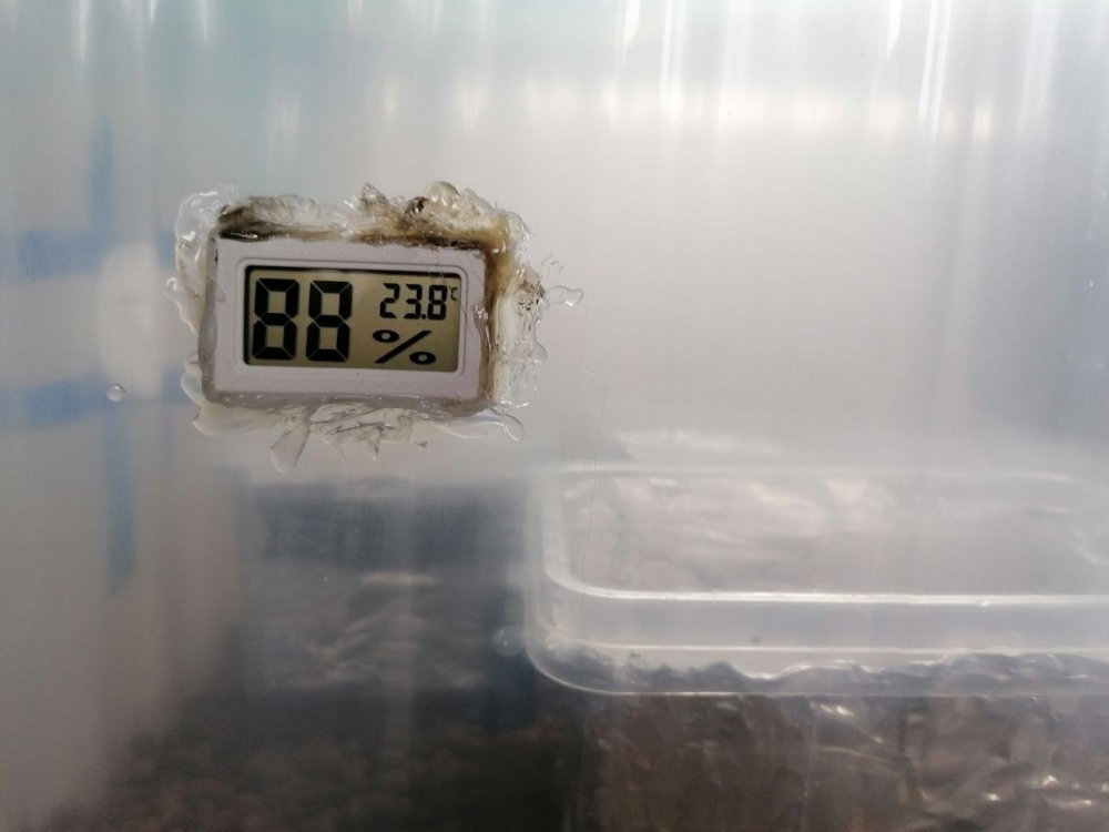 photo_2022-11-21_19-58-50 (2).jpg