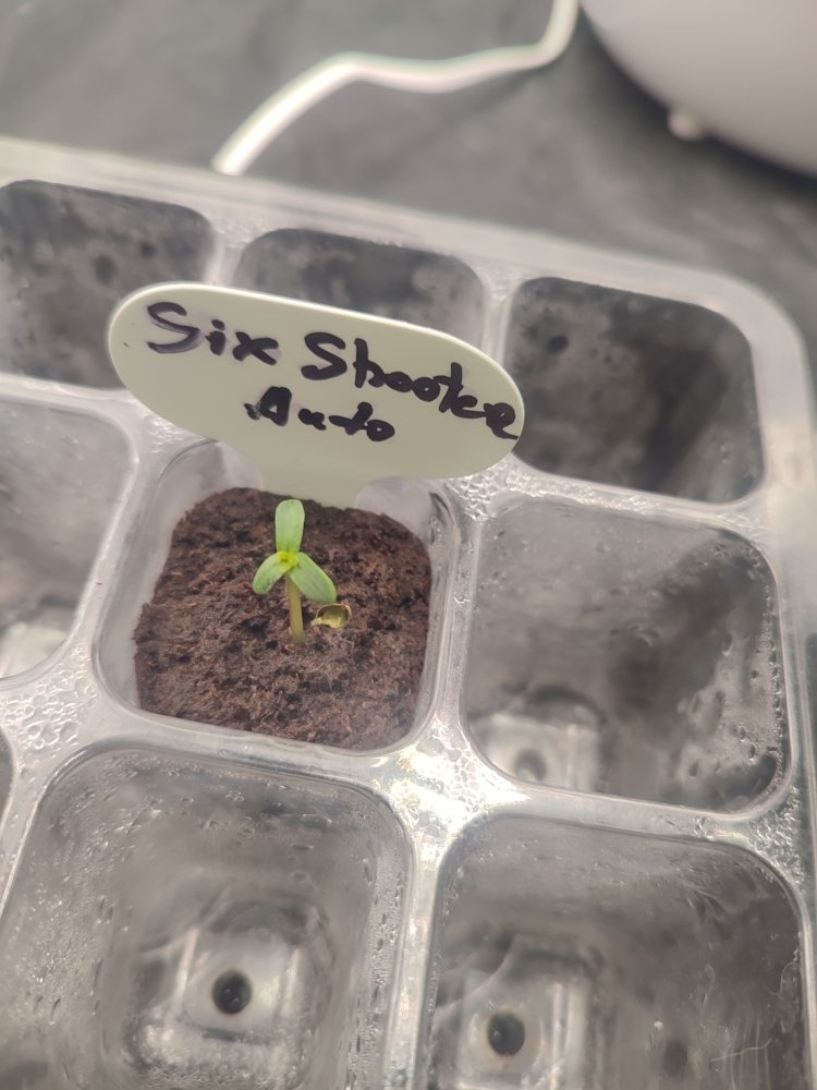 IMG_20221128_042227 — копия.jpg