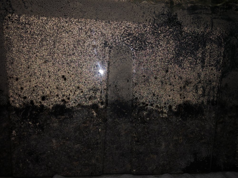 97776AC4-591D-40A0-9A2B-4D9A620B260A.jpeg