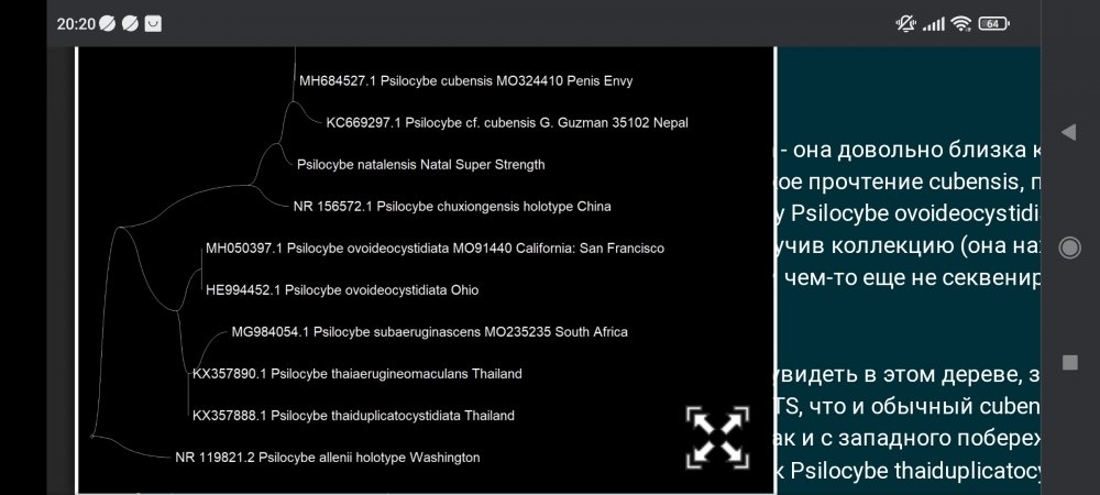 Screenshot_2022-11-26-20-20-05-329_com.android.chrome.thumb.jpg.1fa8408bd507b304974f5bf9d9cbc0fd.jpg