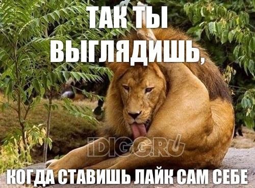 kcQWBplIXts.jpg.c46c0f20b407fbdde392aaea2c494b6a.jpg