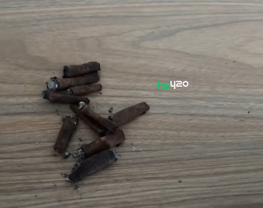 snoop-dogg-roaches.jpg