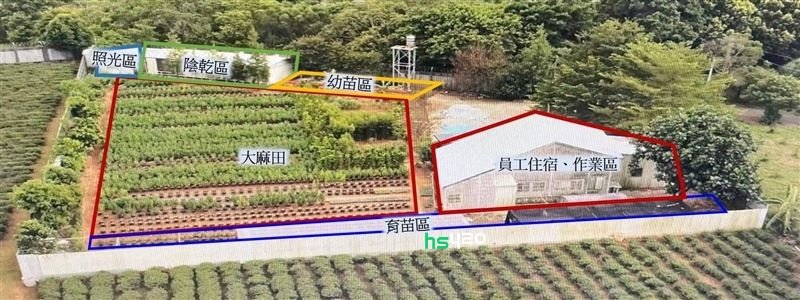 taiwan-cannabis-farm-above.jpg