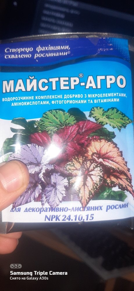20221212_201637.jpg