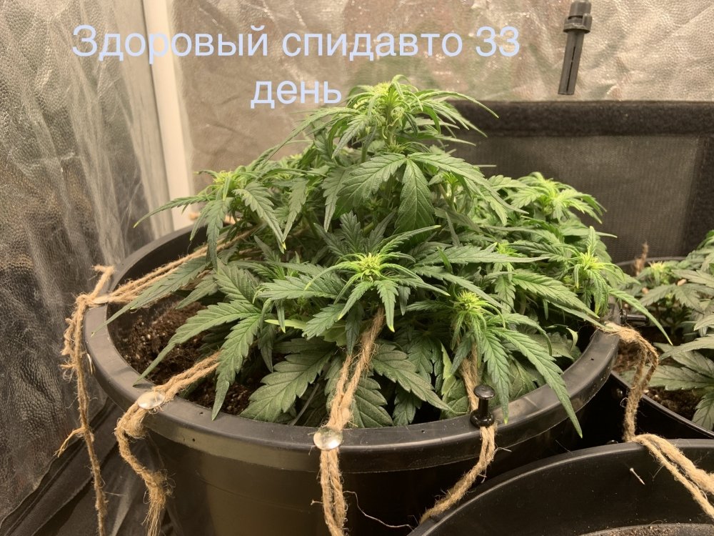 FC468AE4-EFE2-4389-A255-205002C37D94.jpeg