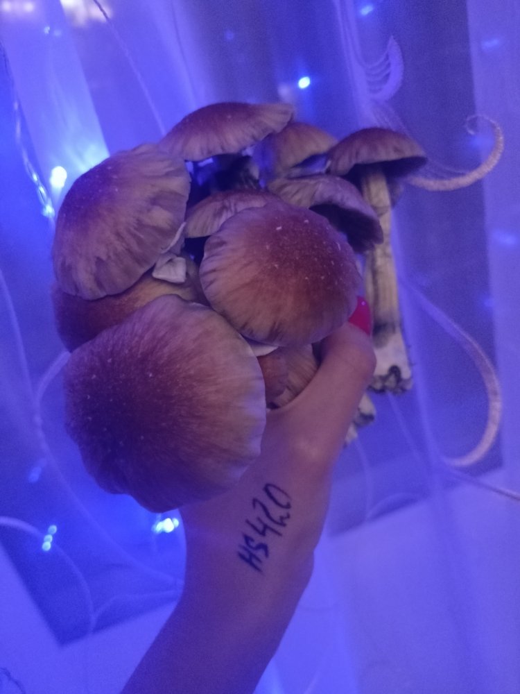 IMG20221230180625.jpg