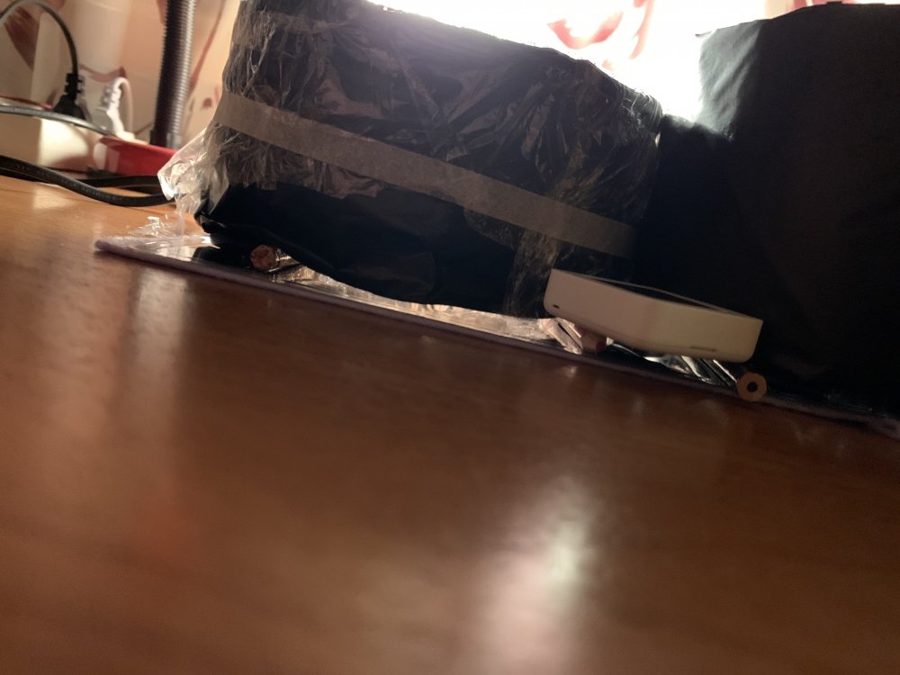 IMG_0612.jpeg