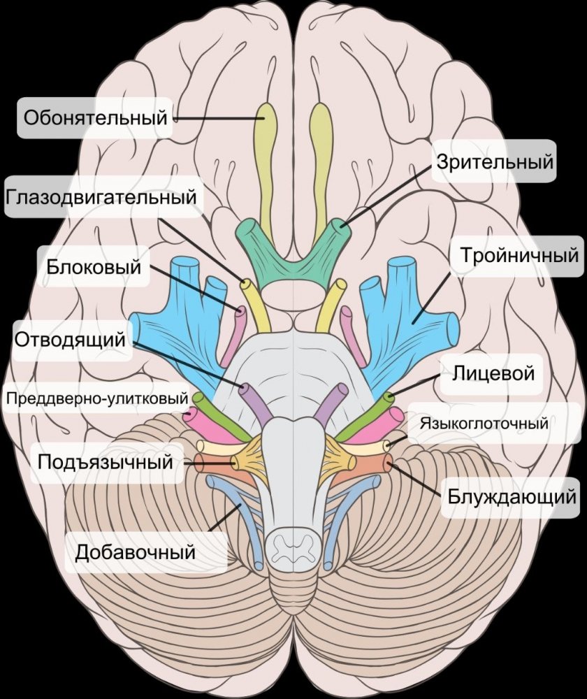 IMG_20221229_105945_546.thumb.jpg.c578cfbbcbf2fb4e48ec66087dee5354.jpg
