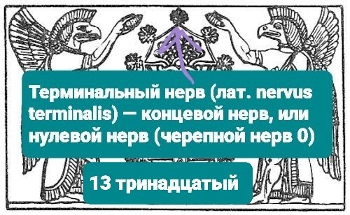 23e5fc63b66e8427e700fffcb4707428.jpg.99027c12e212ecb222414cdc053ef3d7.jpg