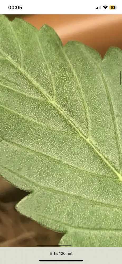F861EA33-FFCE-4EF6-AAF4-7EAAF95B7ABD.png