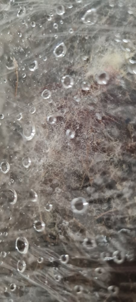 20230213_214612.jpg