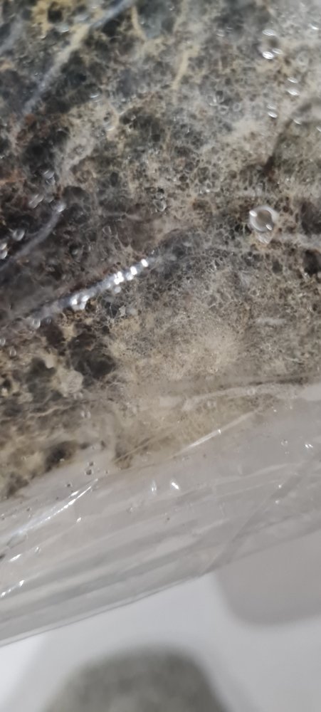 20230213_214802.jpg