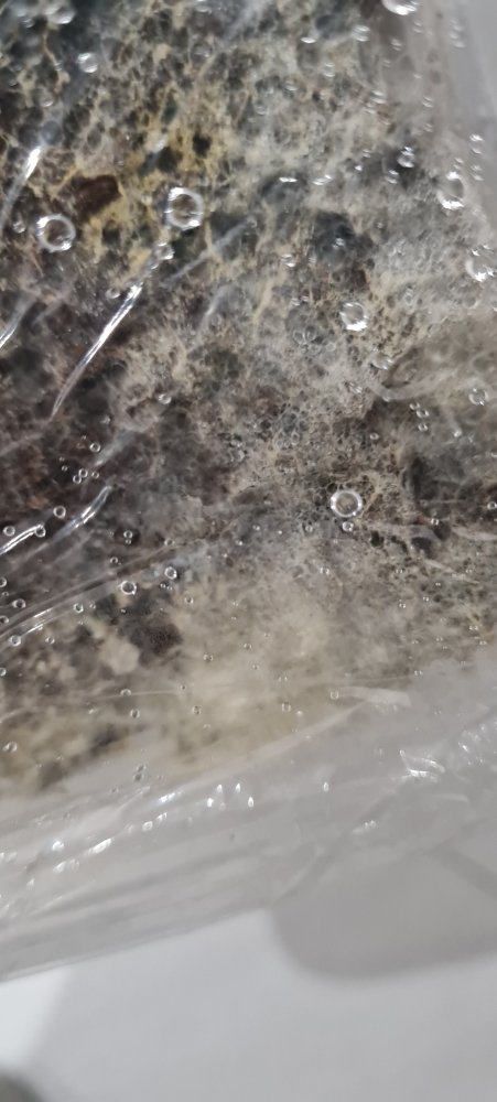 20230213_214808.jpg